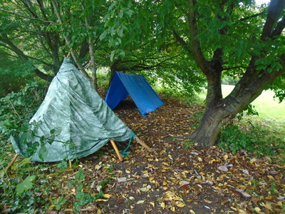 Den making